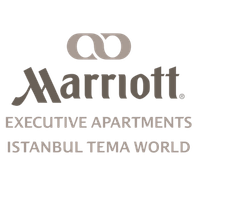 İstanbul Tema World logosu